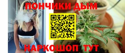 индика Тула