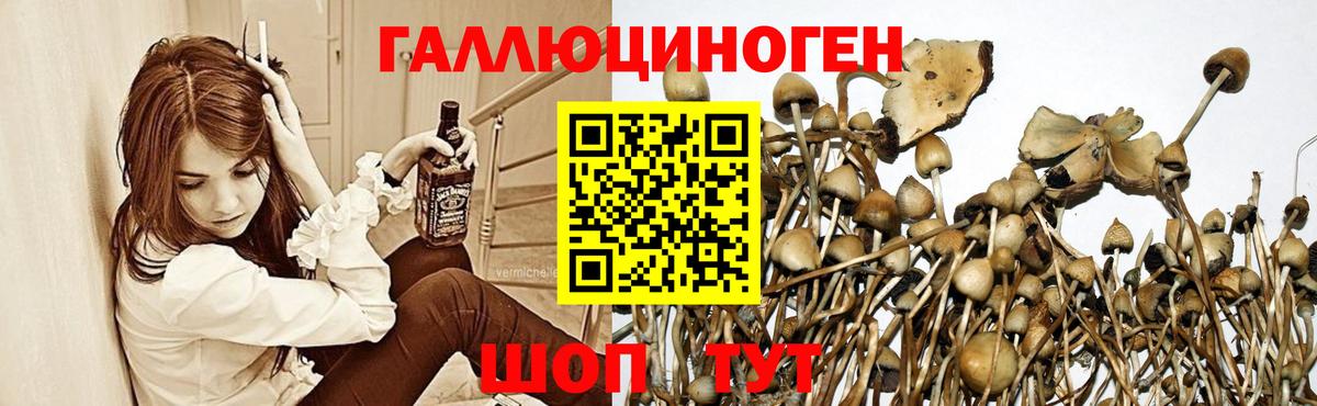 Заинск  Галлюциногенные грибы GOLDEN TEACHER  Псилоцибиновые грибы мухоморы  Вход с VPN 